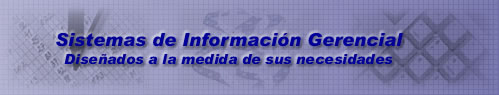 Sistemas de Informaci�n Gerencial. Dise�ados a la medida de sus necesidades.